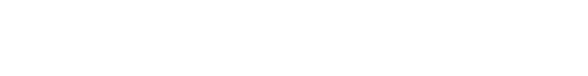 Platinum Web Services